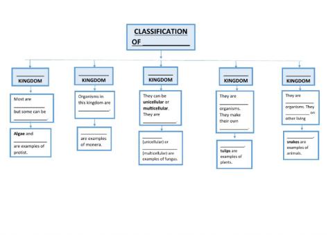 Unit 3 Living Things Classification.Kingdoms. Complete the Scheme