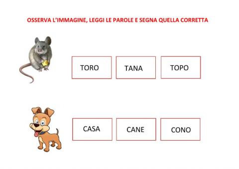 Osserva il disegno e trova la parola