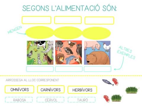 Animals carnívors, herbívors i omnívors