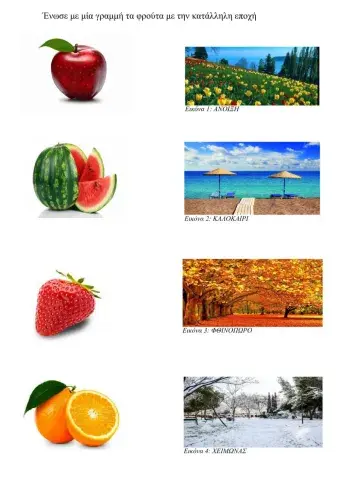 Φρούτα -Εποχές
