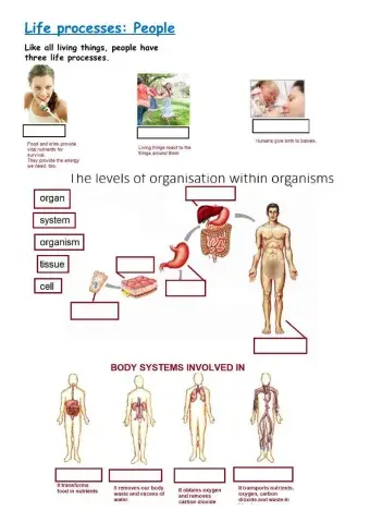 Life function: nutrition