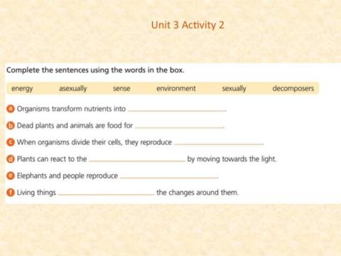 Unit 3 Life Functions Activity 2