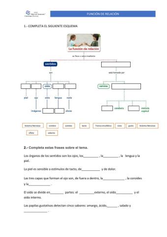 La función de relación