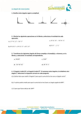Prueba Tema 10: Medidas angulares