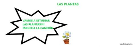 Las plantas