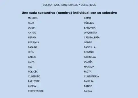 Sustantivos Individuales y Colectivos