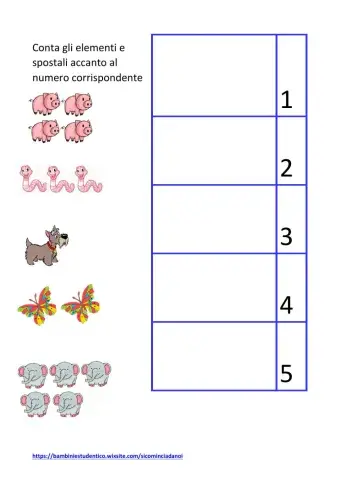 Numeri (0...5) e quantità