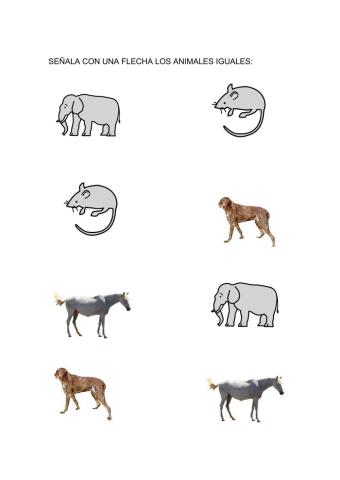 Asociar animal-animal