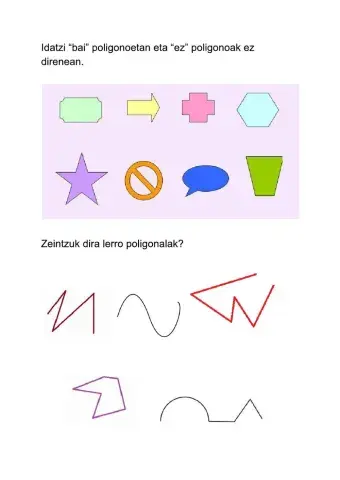 Poligonoak eta lerro poligonalak