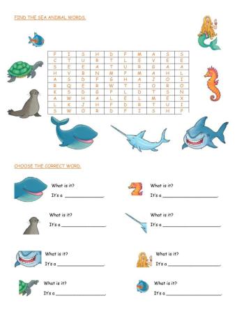 Sea animals