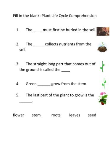 Fill in the blank planting