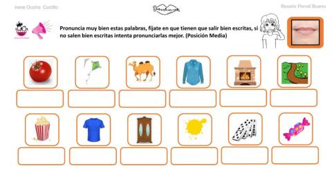 Articulación M media