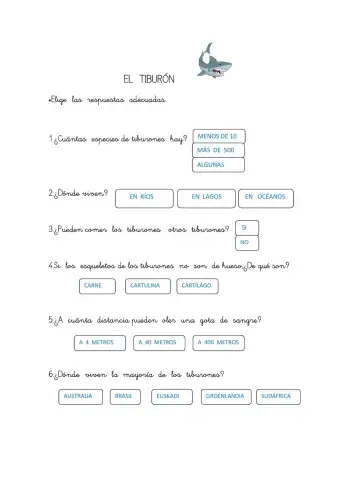 Comprension lengua castellana