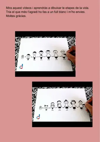 Dibujar las etapas de la vida