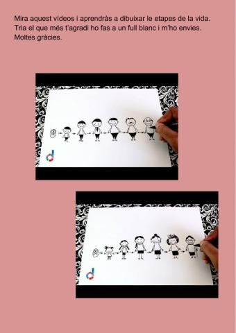 Dibujar las etapas de la vida