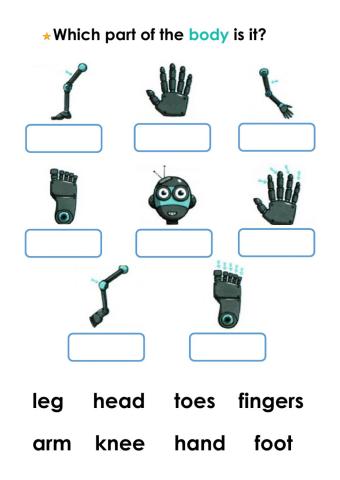 Which part of the body is it?