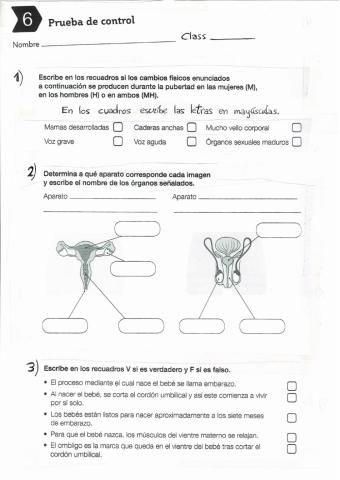 Aparato reproductor y embarazo unidad 6