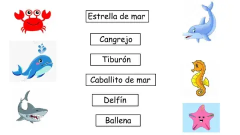 Animales del mar