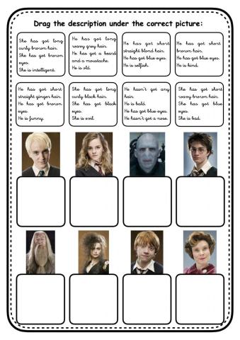 Physical Description