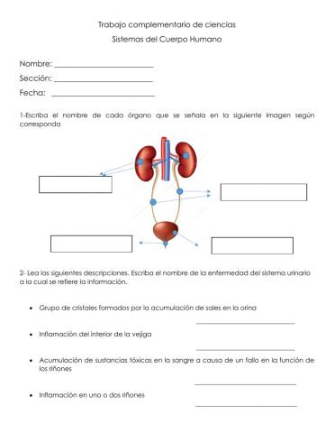 Trabajo complementario de ciencias-sistemas