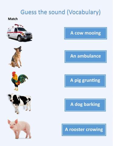 Guess the sound vocabulary