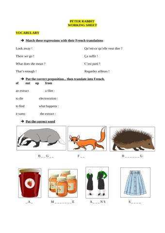 Peter Rabbit Working Sheet Vocabulary