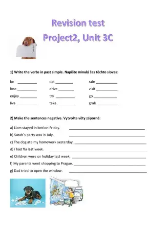 Revision test Unit 3C