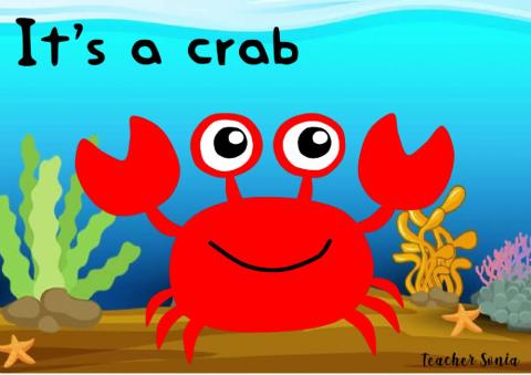 It's a crab