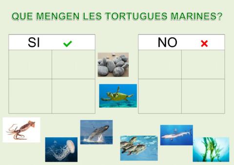 Que menja la tortuga marina?