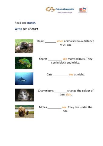 Animal facts
