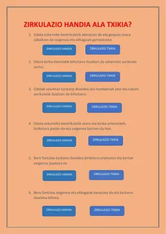 Zirkulazio handia ala txikia?