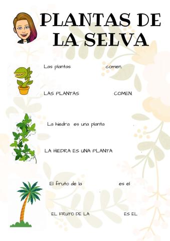 Plantas de la Selva