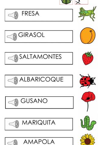 Lectura de palabras primavera