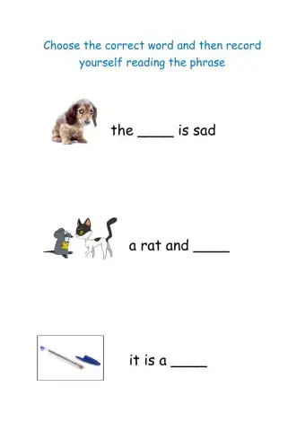 Look at picture and choose correct word