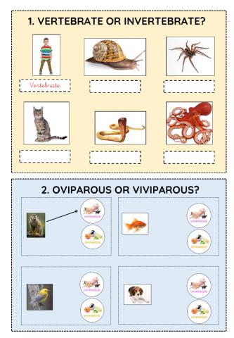 Characteristics of animals