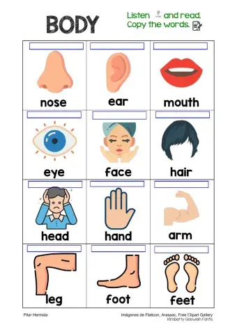 Vocabulary BODY listen and copy