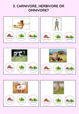 Nutrition of animals
