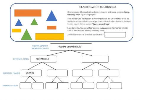 Clasificación jerárquica