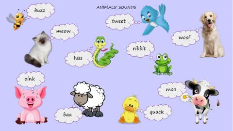 Animals' sounds