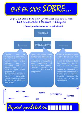 Que saps sobre... QFB Velocitat 03