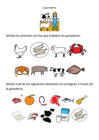 Sector primario. La ganadería.