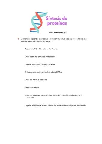 Síntesis de proteínas