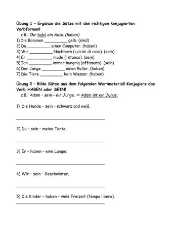 SEIN UND HABEN-Übungen