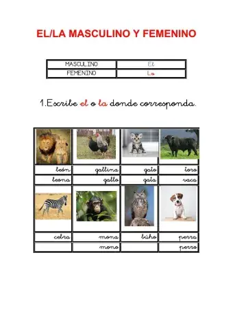 El-la Femenino y masculino