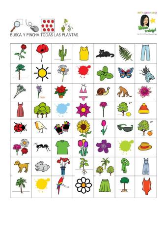 Encuentra todas las plantas