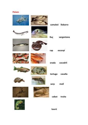 Peixos i reptils