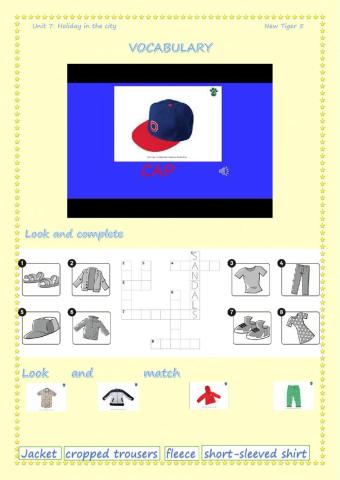 Unit 7. holiday in the city. new tiger 5