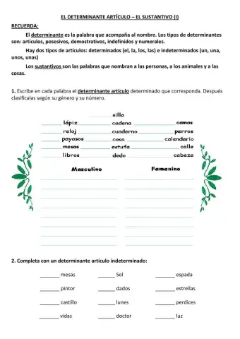 Detreminante artículo el sustantivo (i)