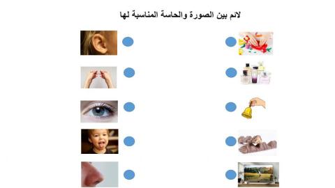 الحواس الخمسة