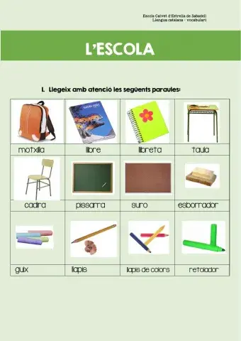 Vocabulari: l'escola